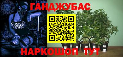 крисы Владивосток